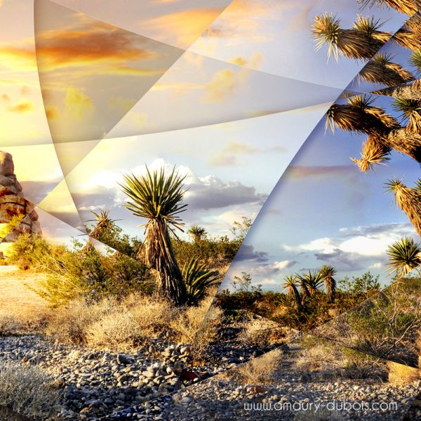 Photographie d'art "Desert Session"