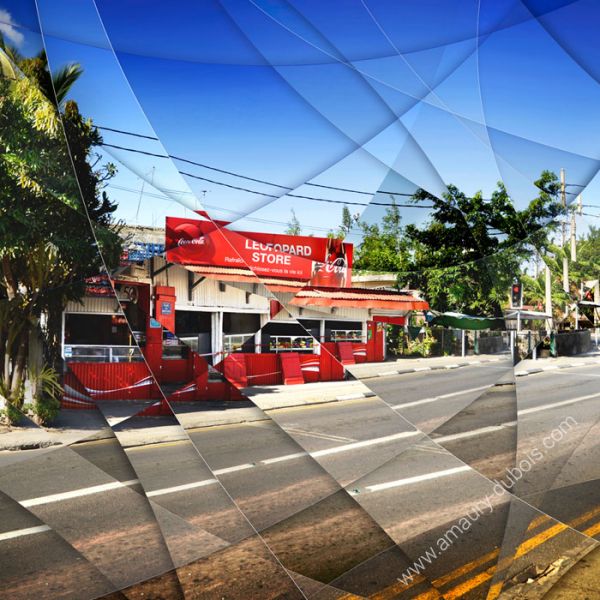 Art photography Mauritius "Royal Road"