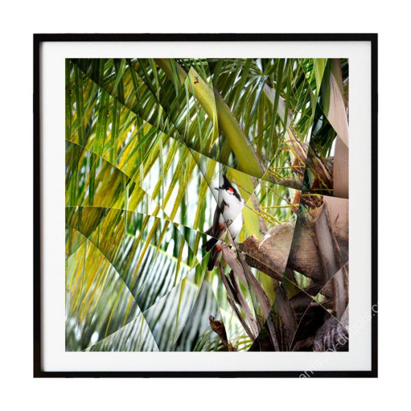 Photographie d'art "Oiseau"
