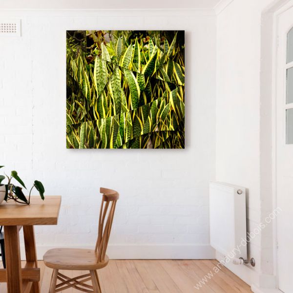 Art photography "Agave"