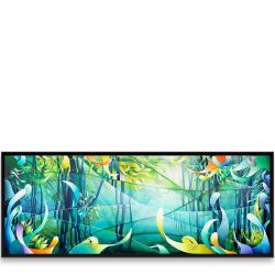 Marine Kelp Forest 
