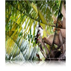 Photographie d'art "Oiseau"