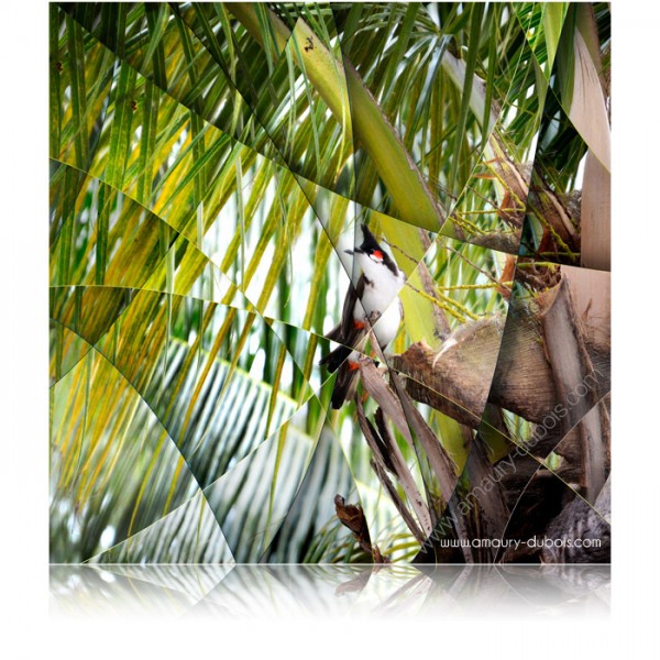 Art photography "Bird"