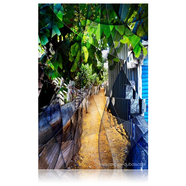 Photographie d'art "Invisible Tree"