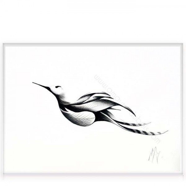 Fusain d'Oiseau 3