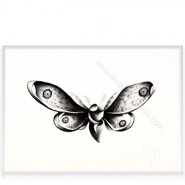 Papillon