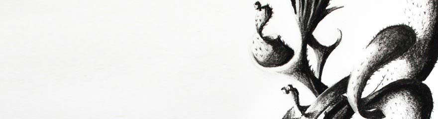 Fusain, dessins, pastel ...